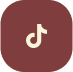 TikTok Icon
