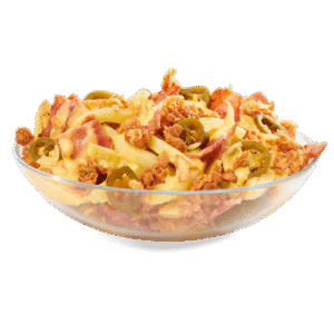 LOADED FRIES